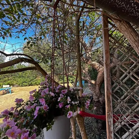 Villa Leonardo Apartamento