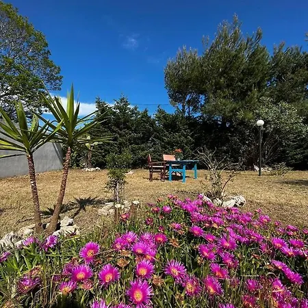 Villa Leonardo * Torre dell'Orso